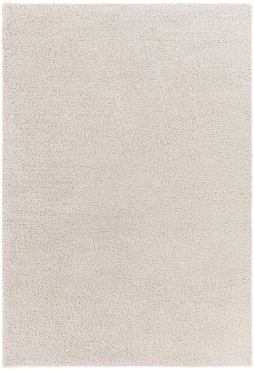 CDG2301-537 5 ft. 3 in. x 7 ft. Cloudy Shag Rectangle Area Rug, Multi Color