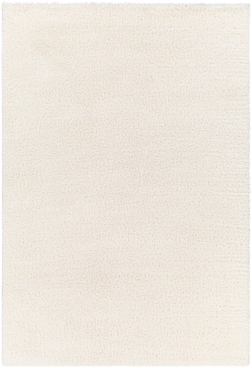 CDG2302-537 5 ft. 3 in. x 7 ft. Cloudy Shag Rectangle Area Rug, Multi Color