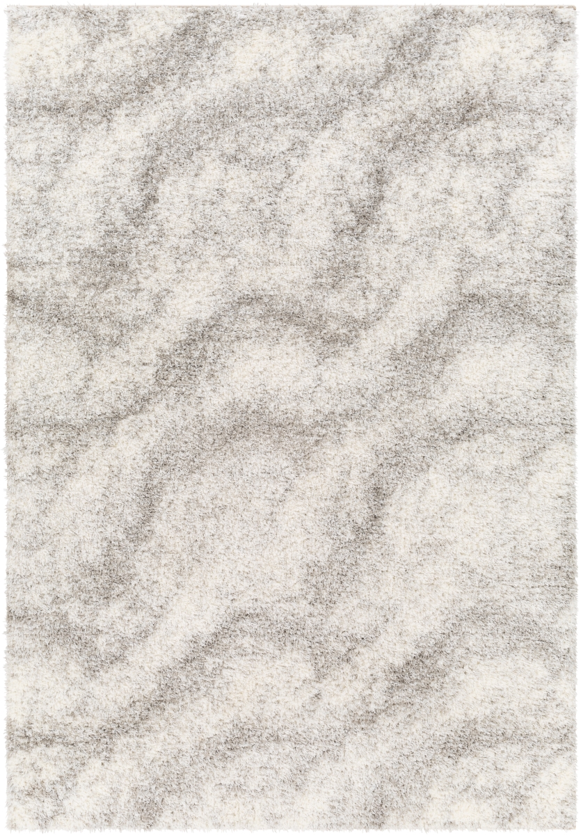 CDG2306-679 6 ft. 7 in. x 9 ft. Cloudy Shag Machine Woven Rectangle Area Rug, Multi Color