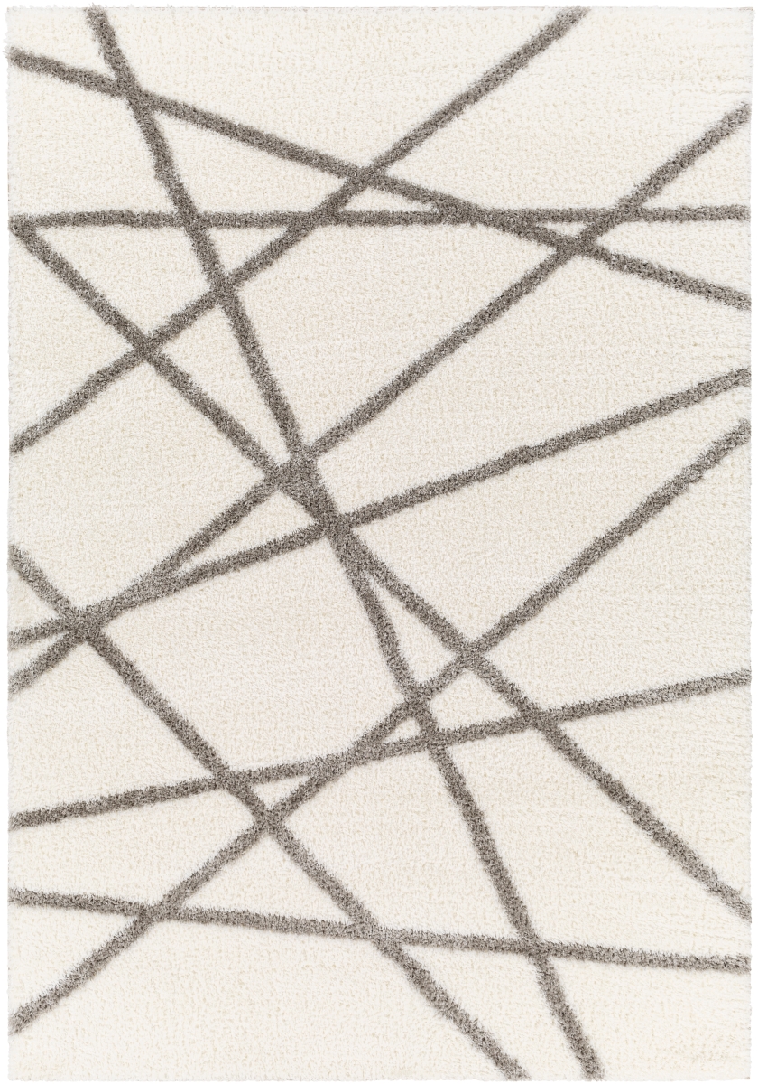 CDG2316-679 6 ft. 7 in. x 9 ft. Cloudy Shag Rectangle Area Rug, Multi Color