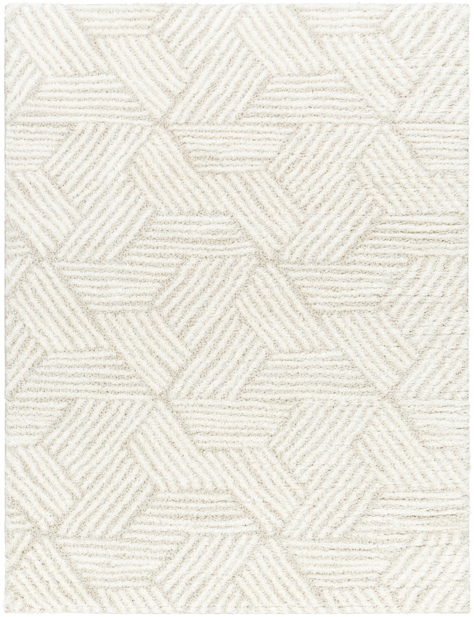 CDG2319-537 5 ft. 3 in. x 7 ft. Cloudy Shag CDG-2319 Modern Machine Woven Rectangle Area Rug, Off-White & Light Beige