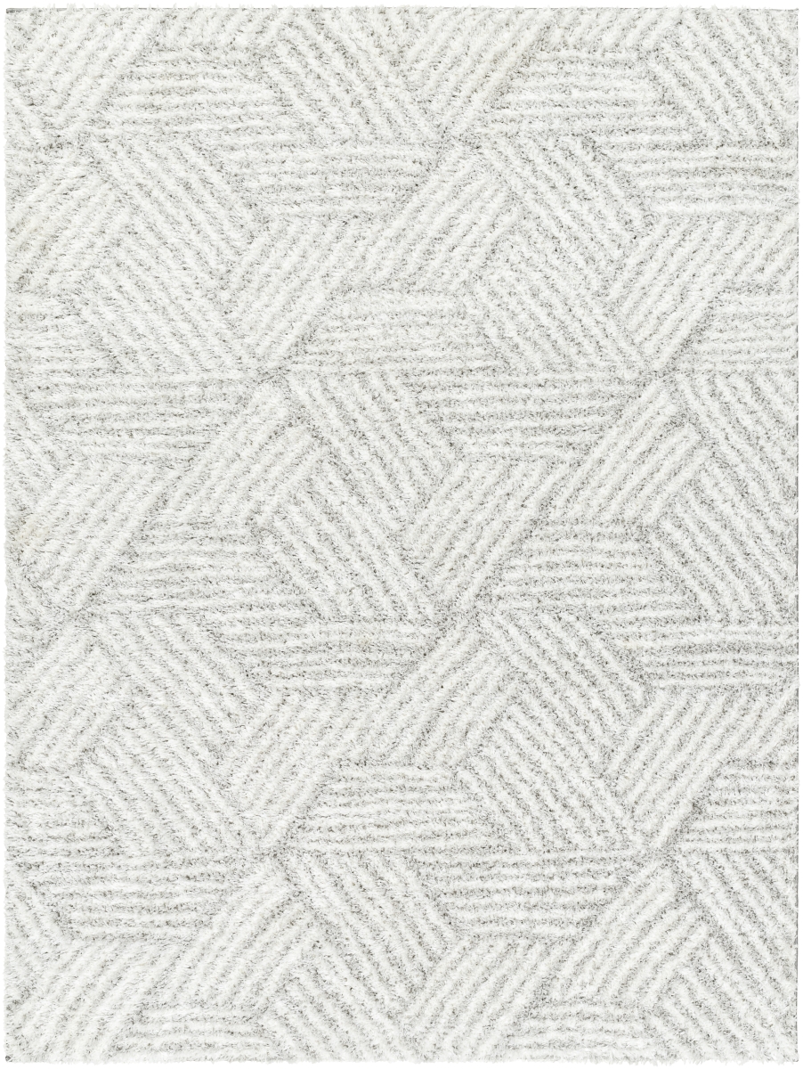 CDG2320-537 5 ft. 3 in. x 7 ft. Cloudy Shag CDG-2320 Modern Machine Woven Rectangle Area Rug, Off-White & Gray