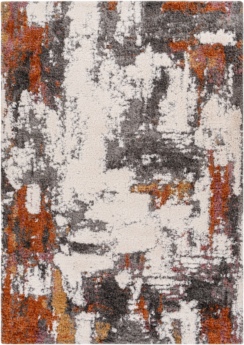 PRI2302-527 5 ft. 2 in. x 7 ft. Polaris Rectangle Area Rug, Multi Color