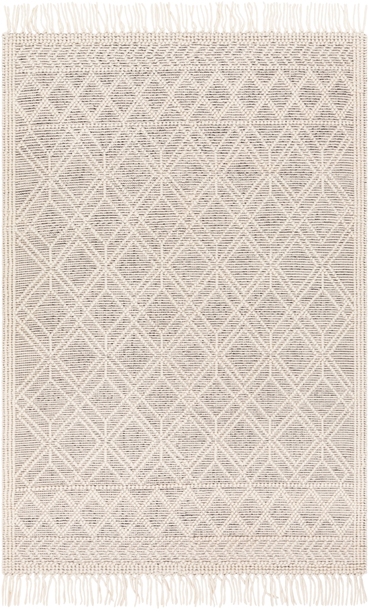 CDC2301-69 6 x 9 ft. Casa DeCampo Hand Woven Rectangle Area Rug, Ivory & Black