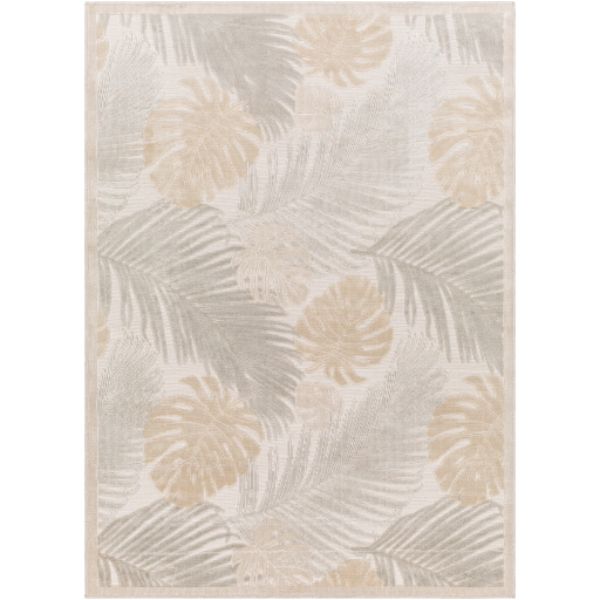 CBO2311-527 5 ft. 2 in. x 7 ft. Cabo Rectangle Area Rug, Multi Color