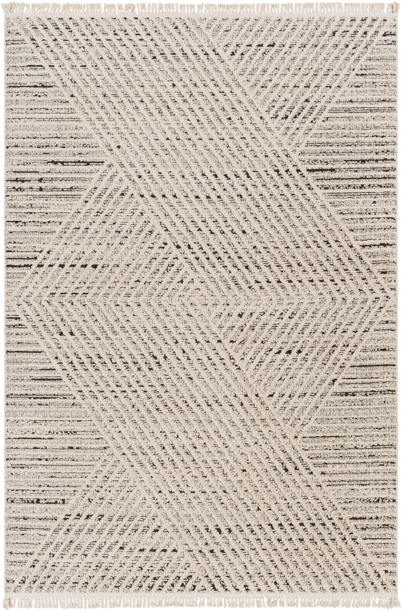 BLR2302-537 5 ft. 3 in. x 7 ft. Berlin BLR-2302 Rectangle Area Rugs, Light Gray