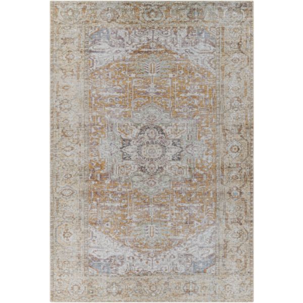 AML2367-2211 2 ft. x 2 ft. 11 in. Amelie Rectangle Area Rug, Multi Color