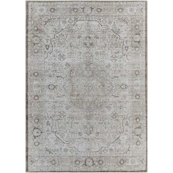 AML2368-27710 2 ft. 7 in. x 7 ft. 10 in. Amelie Rectangle Area Rug, Multi Color