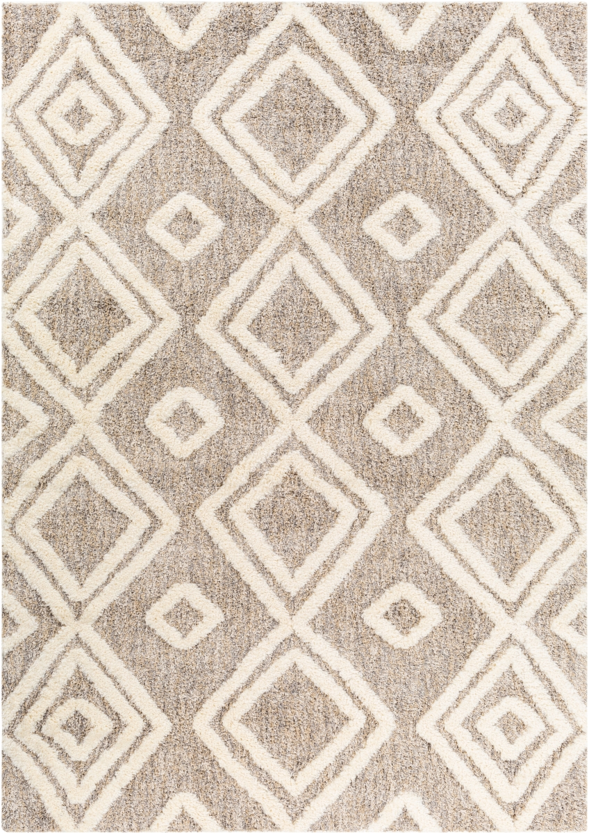 FLD2307-537 5 ft. 3 in. x 7 ft. Florida Rectangle Area Rug, Multi Color