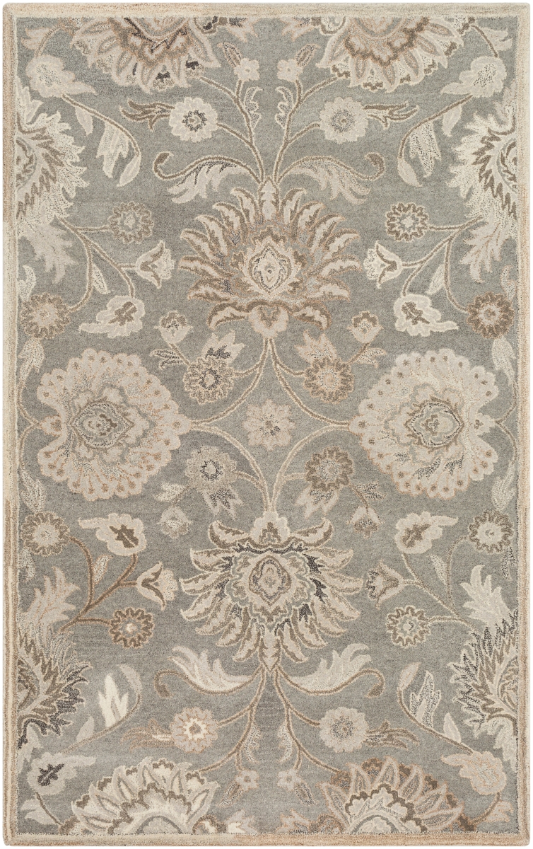 CAE1197-1218 12 x 18 ft. Caesar Rectangle Hand Tufted Rug, Multi Color