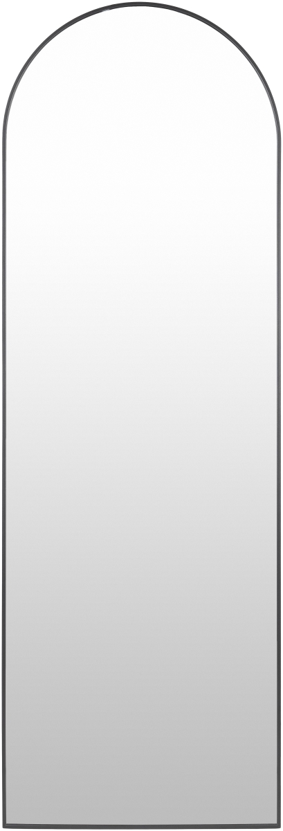 RAY012-2265 22 x 65 in. Aranya Modern Arch & Crowned Top Mirror, Black