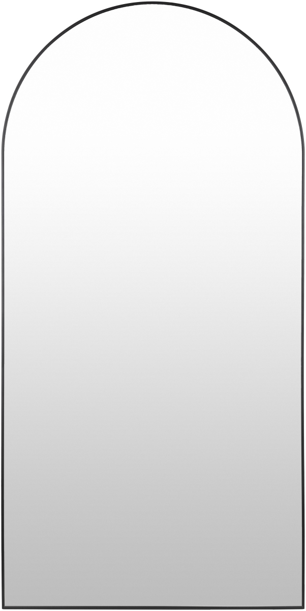 RAY012-3672 36 x 72 in. Aranya Modern Arch & Crowned Top Mirror, Black