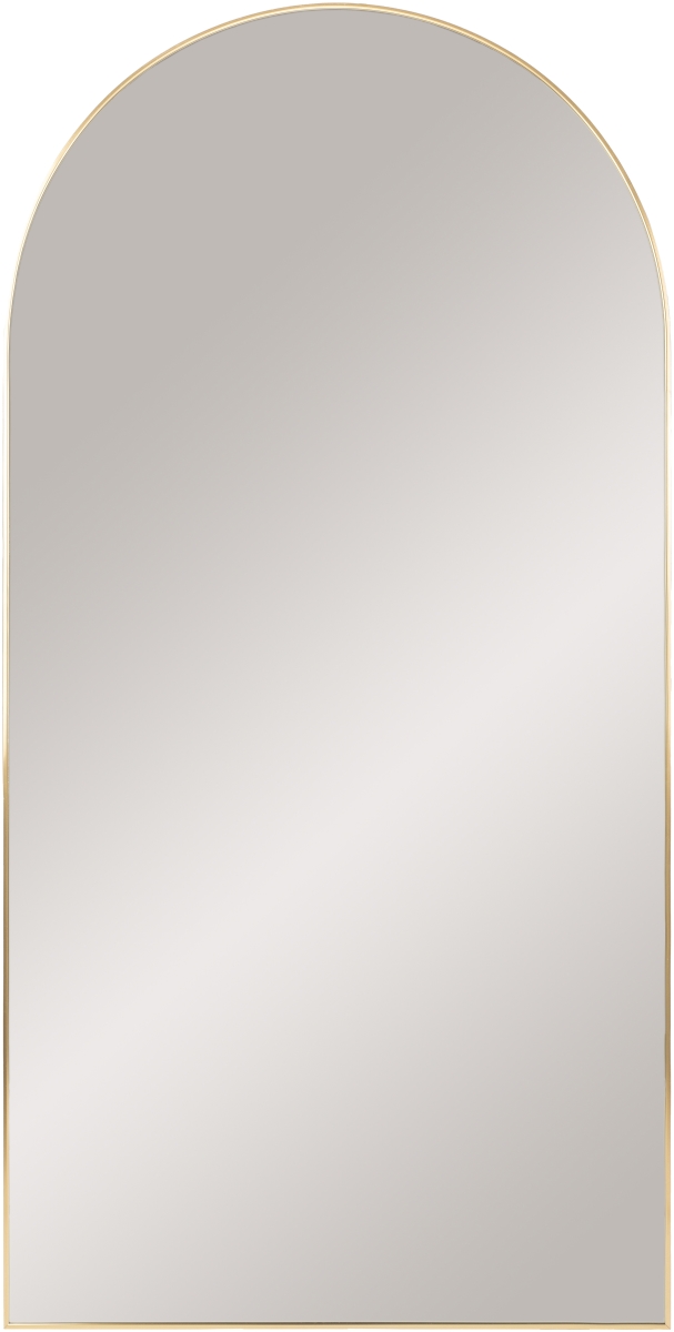 RAY013-2265 22 x 65 in. Aranya Modern Arch & Crowned Top Mirror, Gold