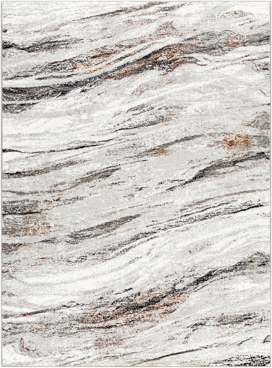 AGP2307-1215 12 x 15 ft. Allegro Plus AGP-2307 Rectangle Machine Woven Rug