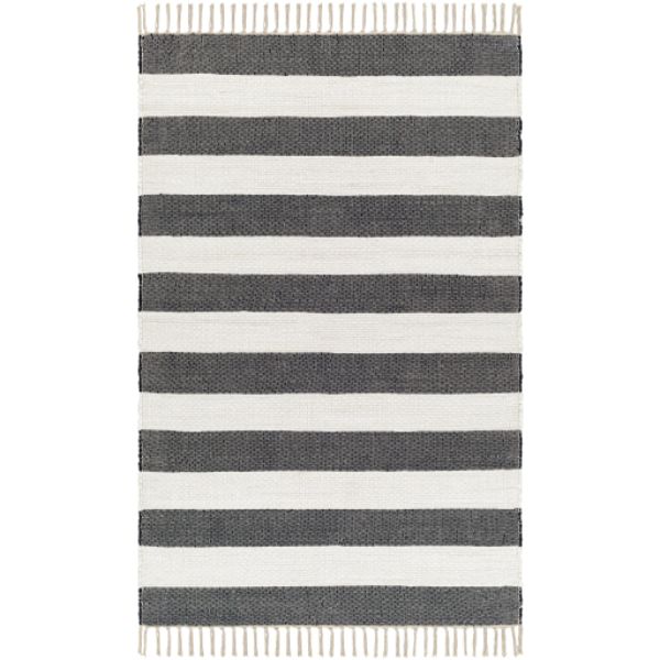 CTE2301-268 2 ft. 6 in. x 8 ft. Cotone Hand Woven Rectangle Area Rug, Multi Color