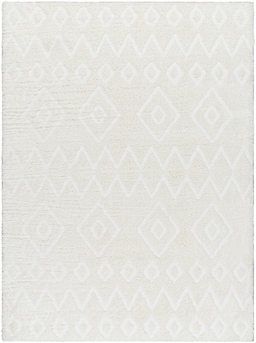 NMC2306-537 5 ft. 3 in. x 7 ft. Nomadic Machine Woven Polyester Rectangle Rug