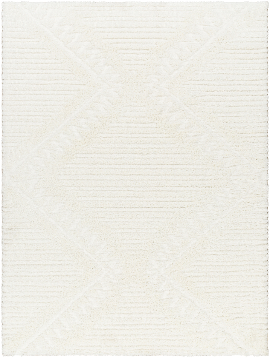NMC2304-537 5 ft. 3 in. x 7 ft. Nomadic Machine Woven Polyester Rectangle Rug