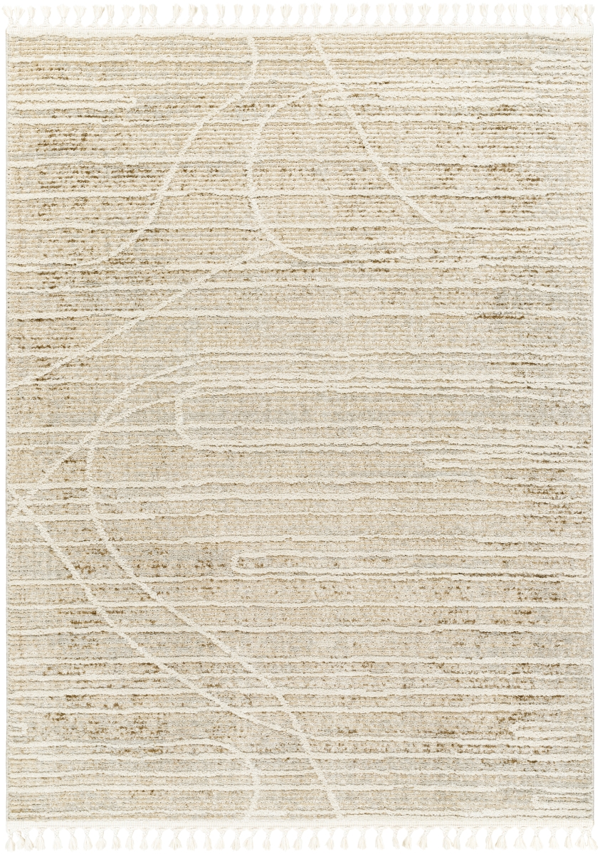RDY2304-9212 9 ft. 2 in. x 12 ft.  Rectangle Area Rug