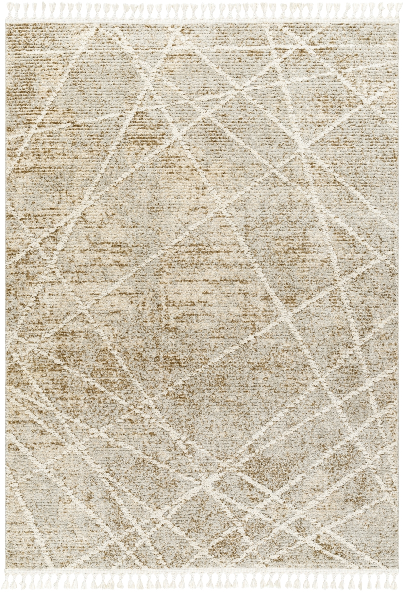 RDY2308-9212 9 ft. 2 in. x 12 ft.  Rectangle Area Rug