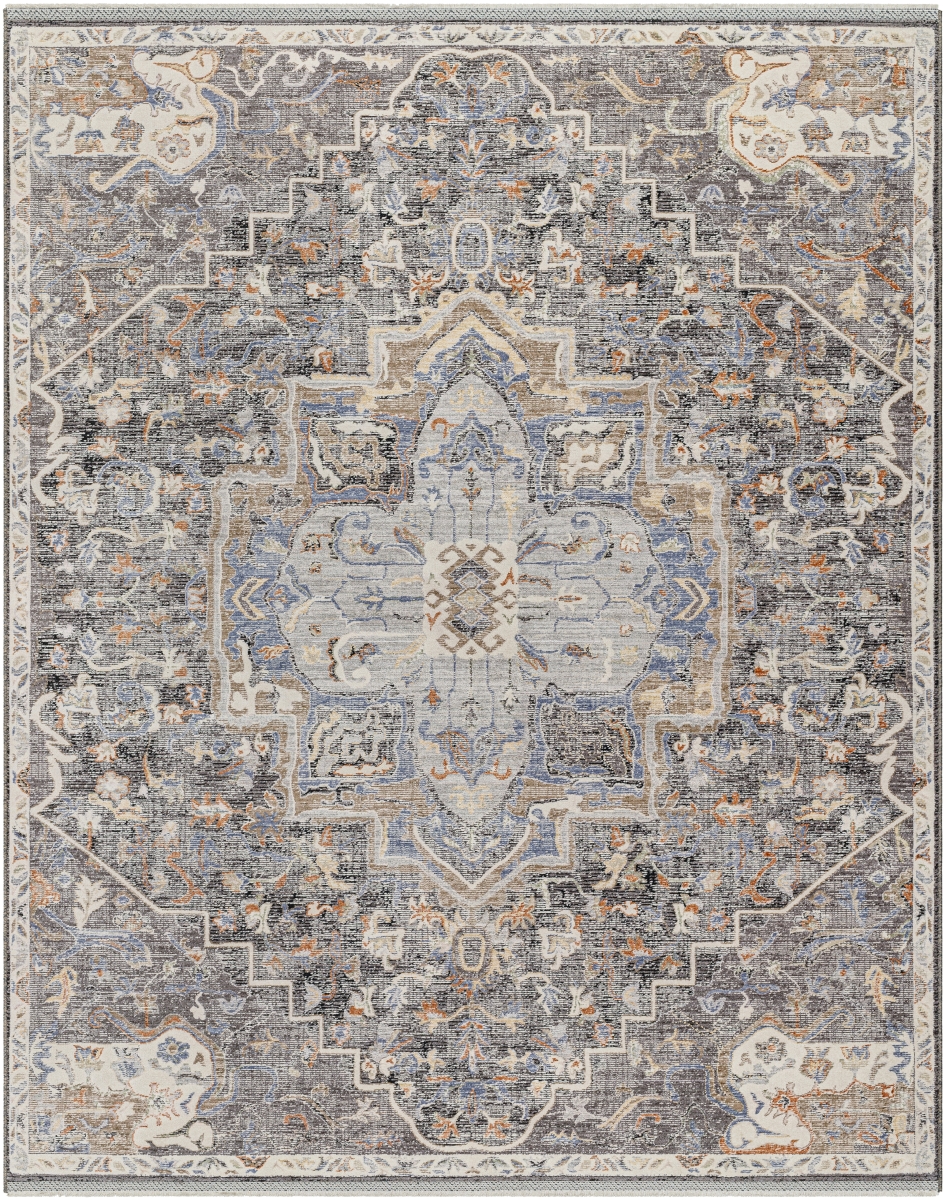 Picture of Surya RVD2301-57 5 x 7 ft. Rivaldo RVD-2301 Woven Construction Rectangle Rug&#44; Multi Color