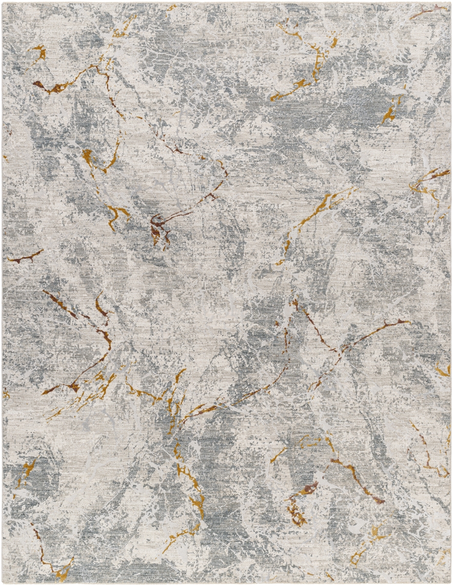 DRE2318-274 2 ft. 7 in. x 4 ft. Dresden Machine Woven Polyester Rectangle Area Rug