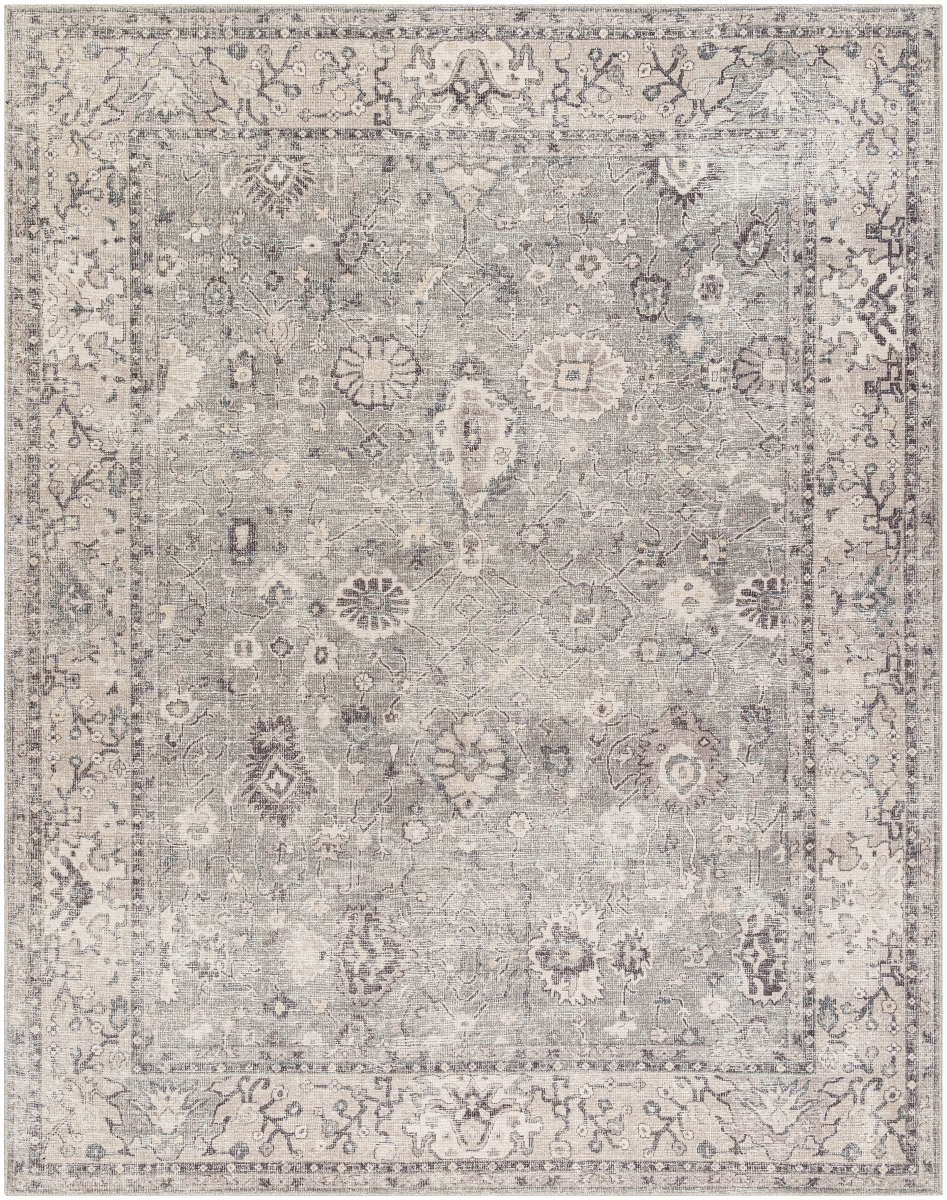 2 ft.2 in. x 3 ft.9 in.  BOCC-2301 Rectangle Area Rug