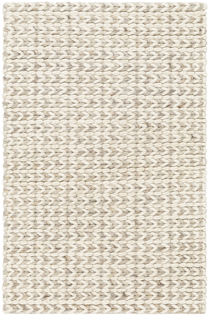 SDC2303-3656 3 ft. 6 in. x 5 ft. 6 in. Sundance Hand Woven Rectangle Area Rug, Multi Color