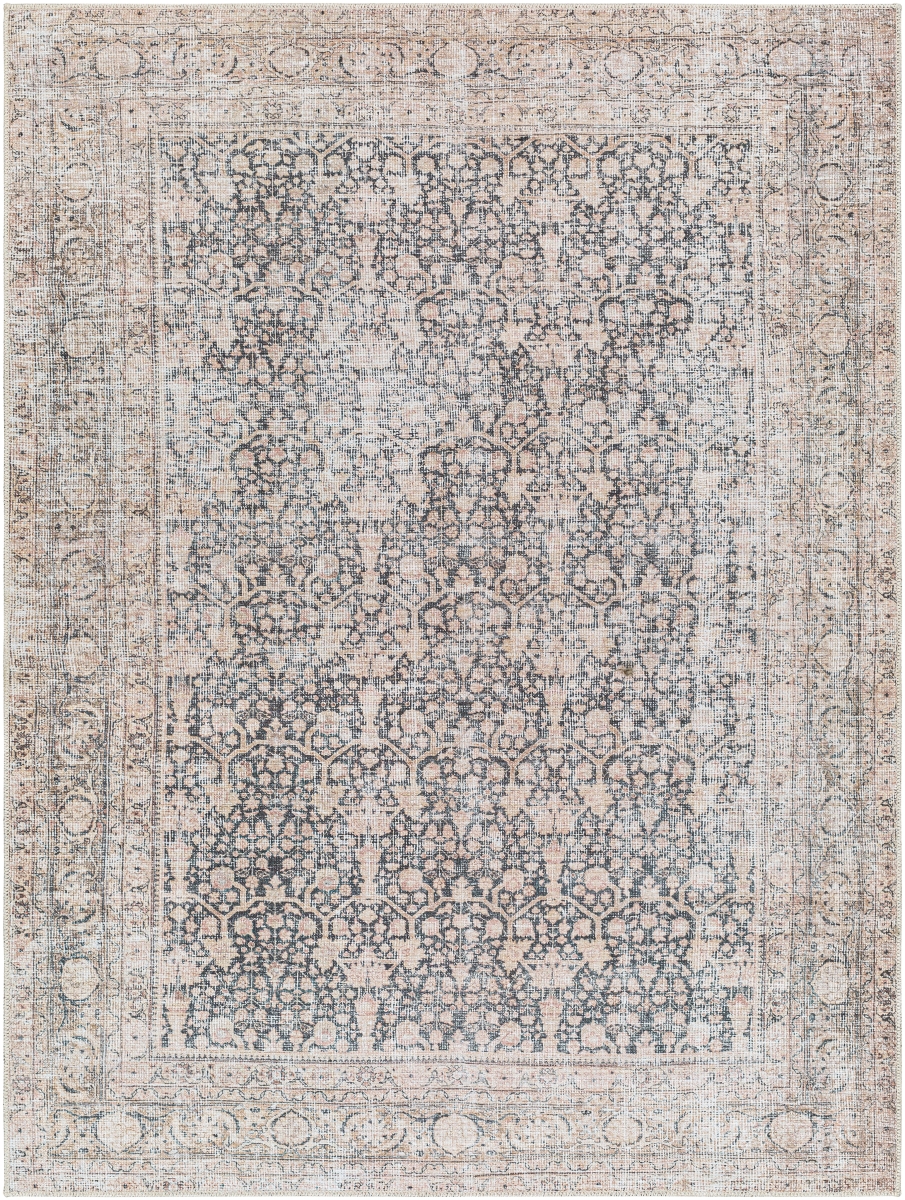 AML2387-2211 2 ft. x 2 ft. 11 in. Amelie AML-2387 Woven Low Pile Rectangle Rug - Multi Color