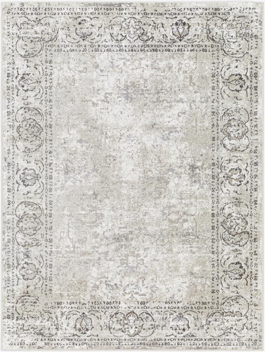 SOD2309-2211 2 ft. x 2 ft. 11 in. Soldado Rectangle Area Rug