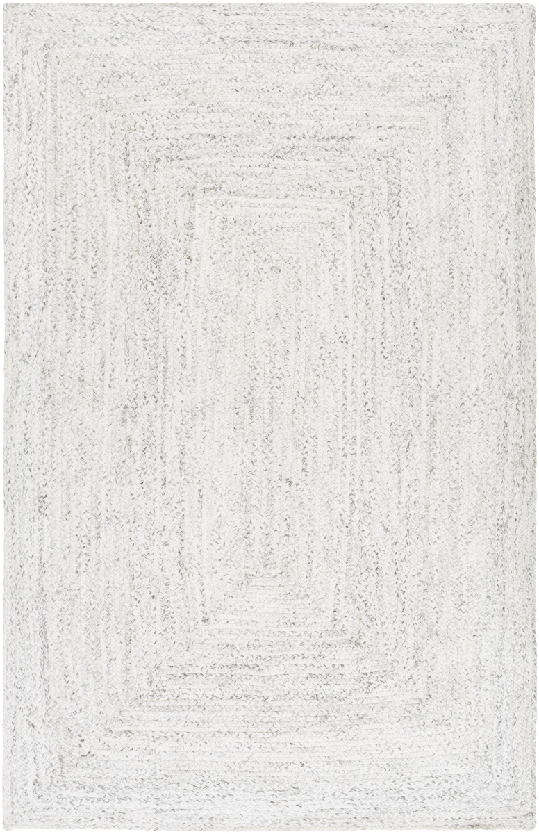 COG2302-23 2 x 3 ft. Cologne Hand Woven Rectangle Area Rug