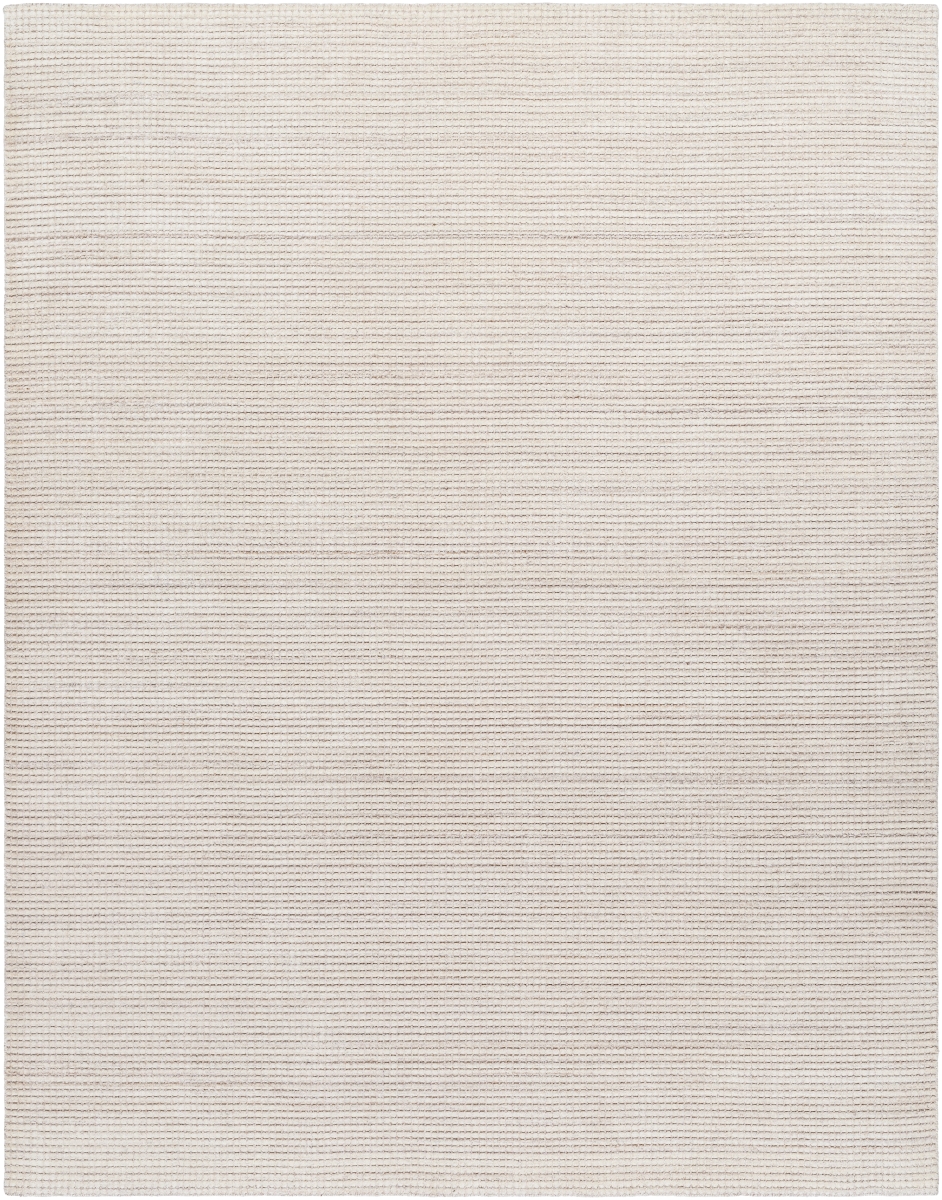 BBT2300-1014 10 x 14 ft. Boston Hand Loomed Rectangle Area Rug, Ash -  Surya