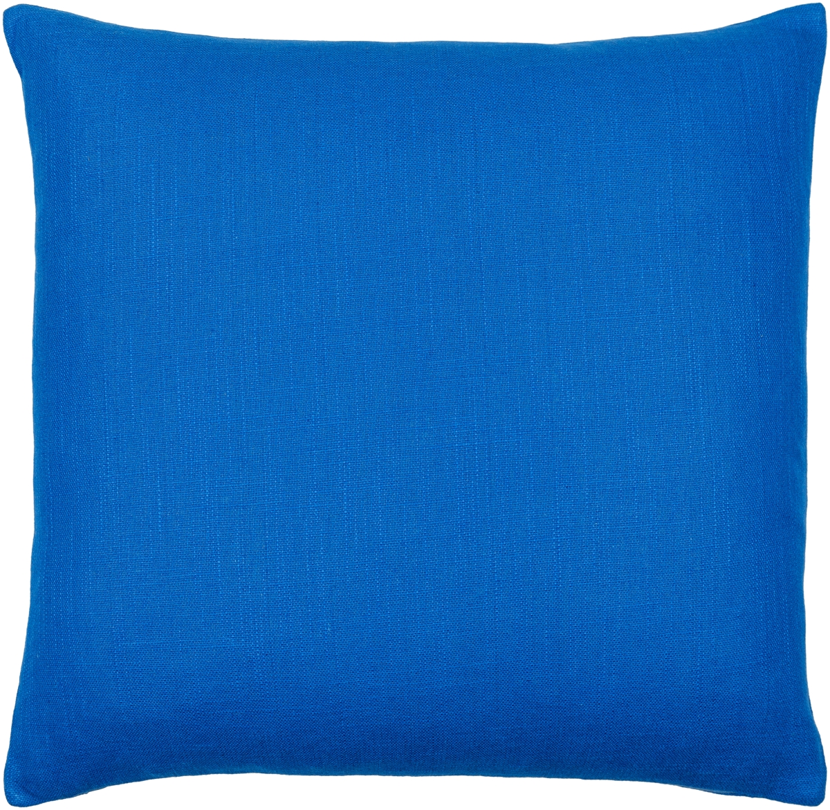 Picture of Livabliss BNN003-2020D 20 x 20 in. Brandon BNN-003 Square Accent Down Filled Pillow&#44; Blue