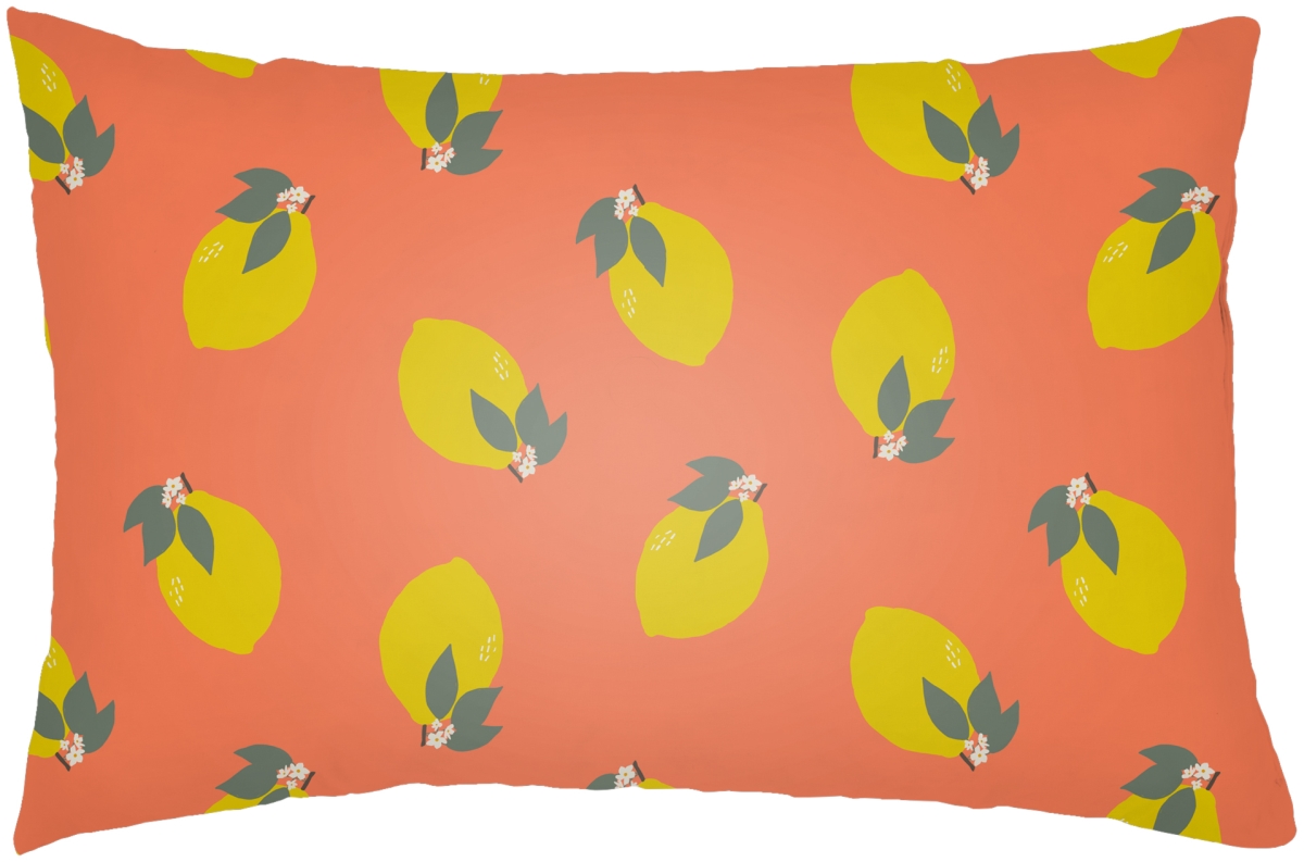 SUM002-2214 14 x 22 in. Summer Lumbar Pillow, Multi Color