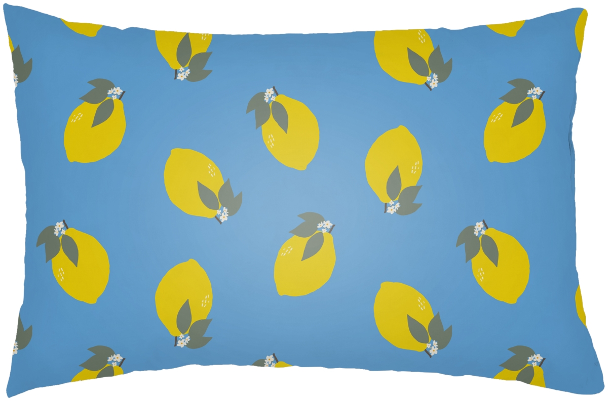 SUM004-2214 14 x 22 in. Summer Lumbar Pillow, Multi Color