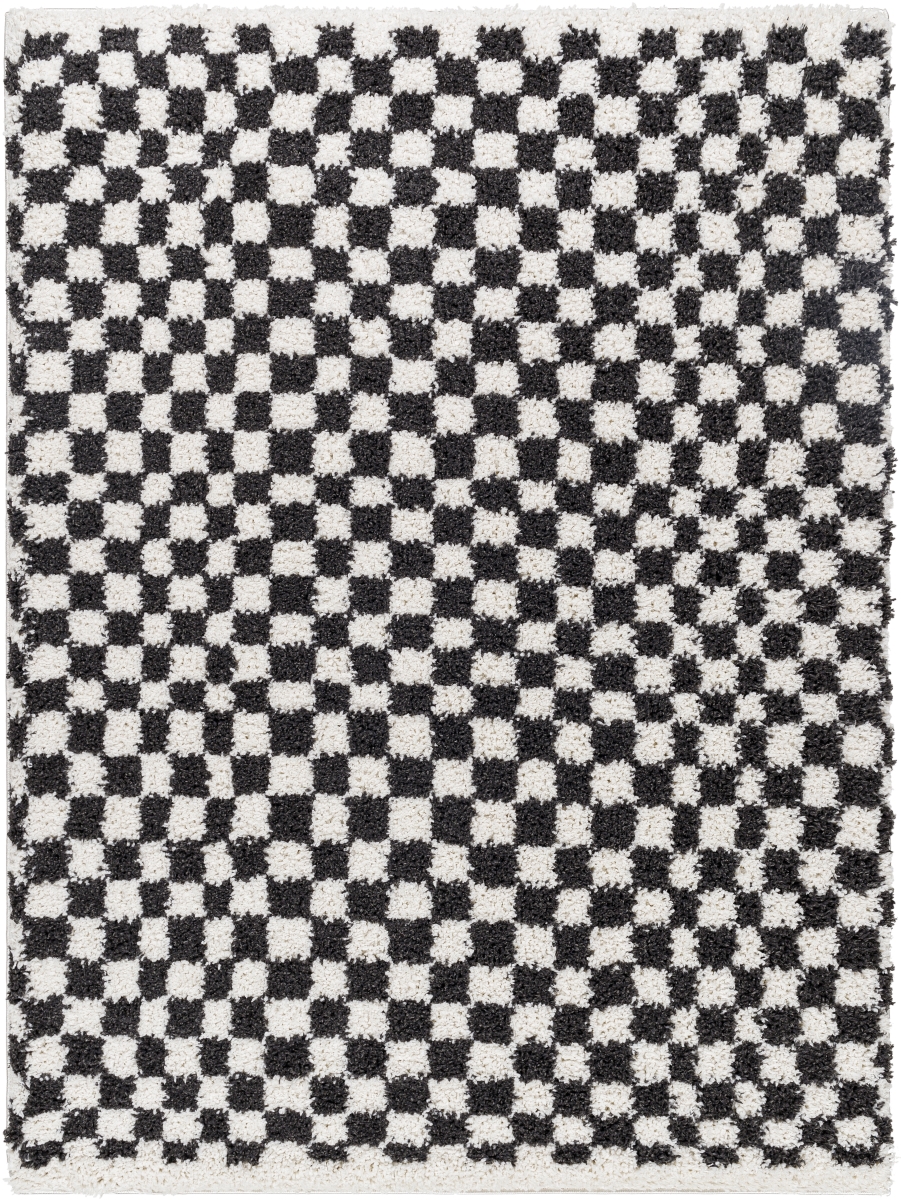BMM2319-71010 7 ft. 10 in. x 10 ft. Birmingham BMM-2319 Machine Woven Rectangle Area Rug, Ivory & Black