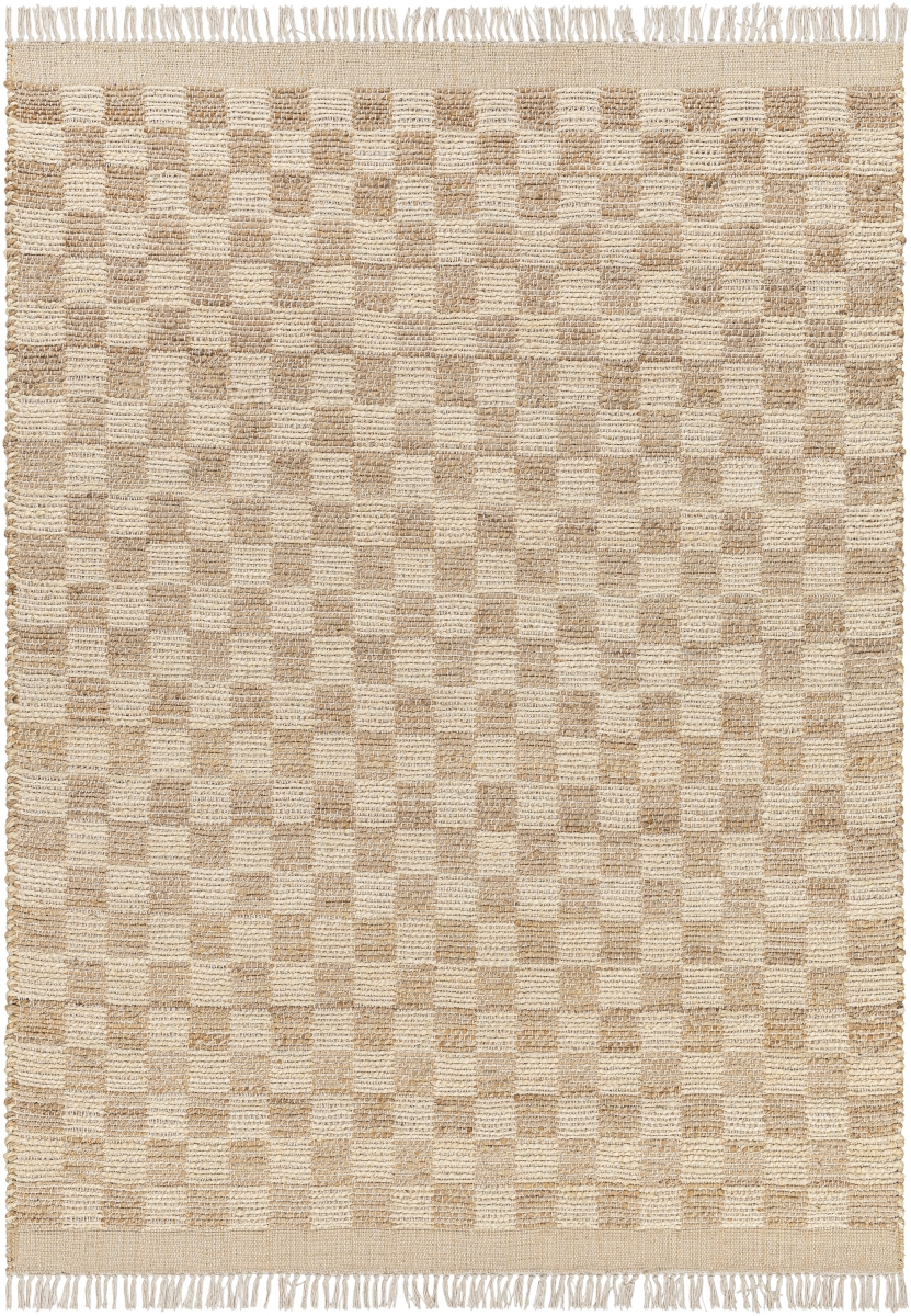 DMA2300-69 6 x 9 ft. Dama Hand Woven Rectangle Area Rug, Tan