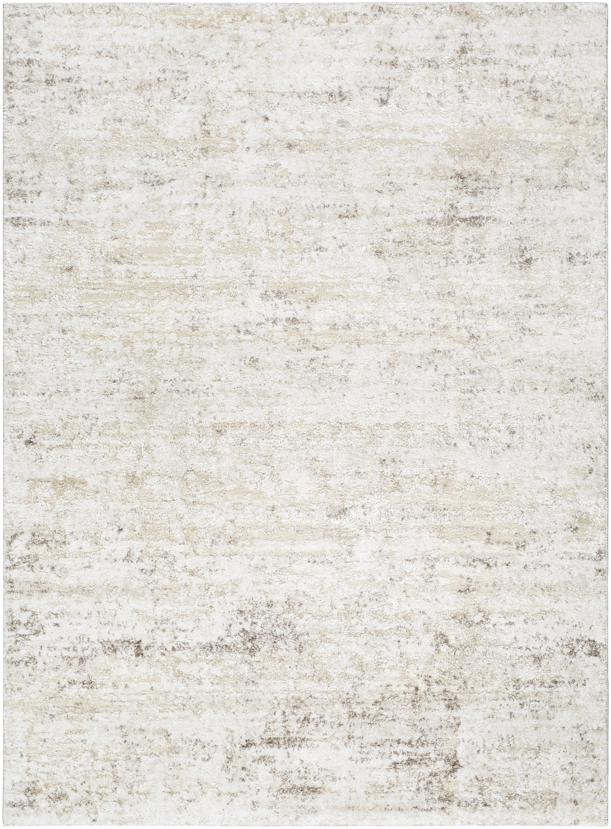 ARP2305-2211 2 ft. x 2 ft. 11 in. Andorra Plus Machine Woven Rectangle Area Rug - Light Silver, White & Silver