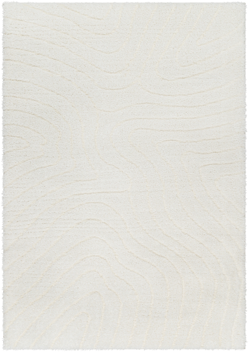 NMC2315-537 5 ft. 3 in. x 7 ft. Nomadic Machine Woven Rectangle Area Rug, Ivory