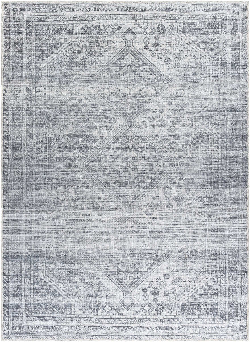 EMA2312-71010 7 ft. 10 in. x 10 ft. Embrace Machine Woven Rectangle Area Rug, Multi Color