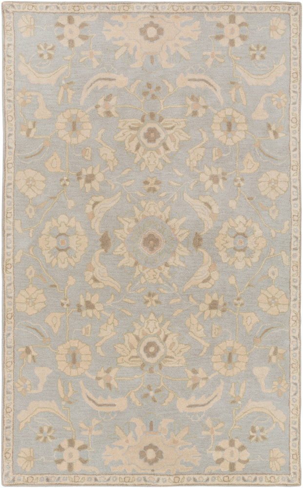 CAE1162-23 Caesar Area Rug - 2 x 3 ft.