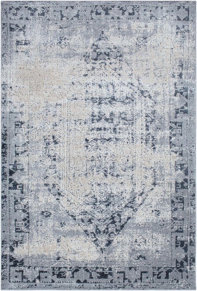 DUR1009-23 Durham Area Rug - 2 x 3 ft.