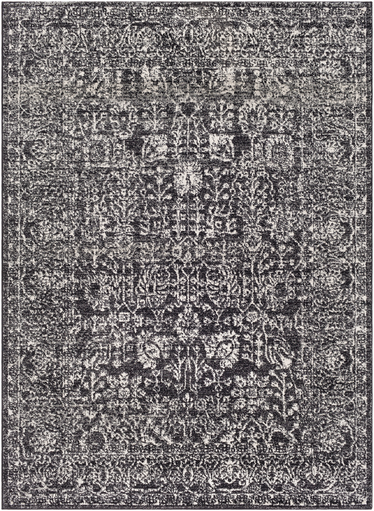 HAP1028-23 Harput Area Rug - 2 x 3 ft.