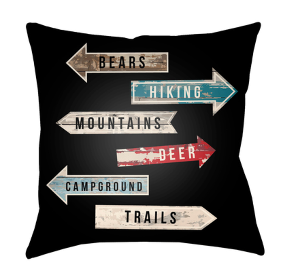 LGCB2064-1818  Lodge Cabin Compass Poly Filled Pillow - 18 x 18 in.