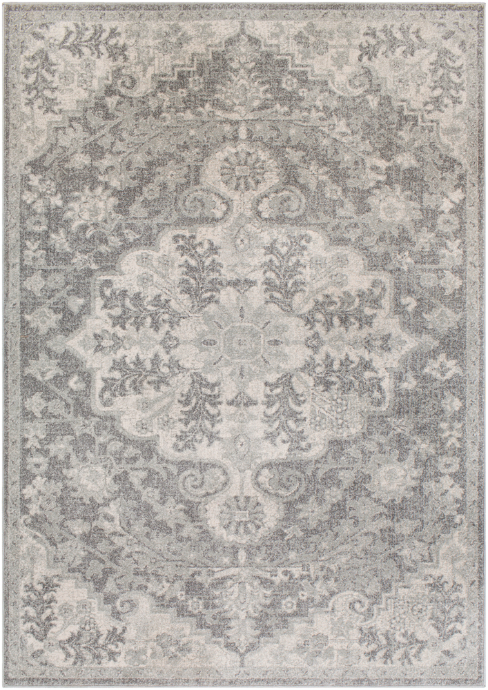 HAP1070-23 2 ft. x 3 ft. Harput Rectangle Machine Made Updated Traditional Area Rug, Multi Color