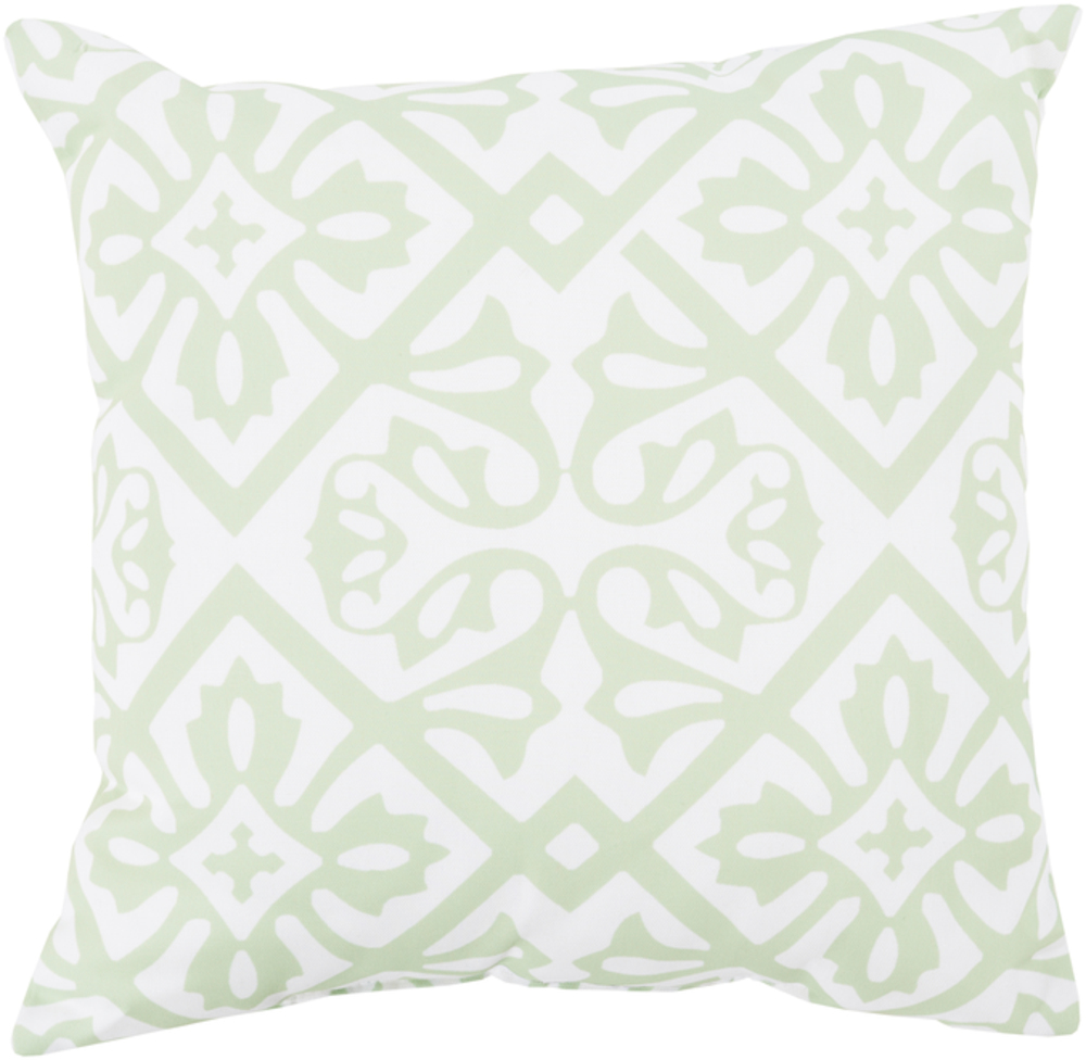 RG065-2020 Rain 20 x 20 x 4 in. Throw Pillow, Green - Medium