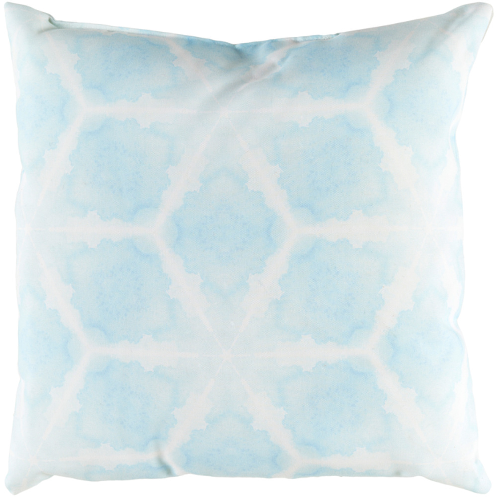 RG228-1818 Rain 18 x 18 x 4 in. Throw Pillow - Medium