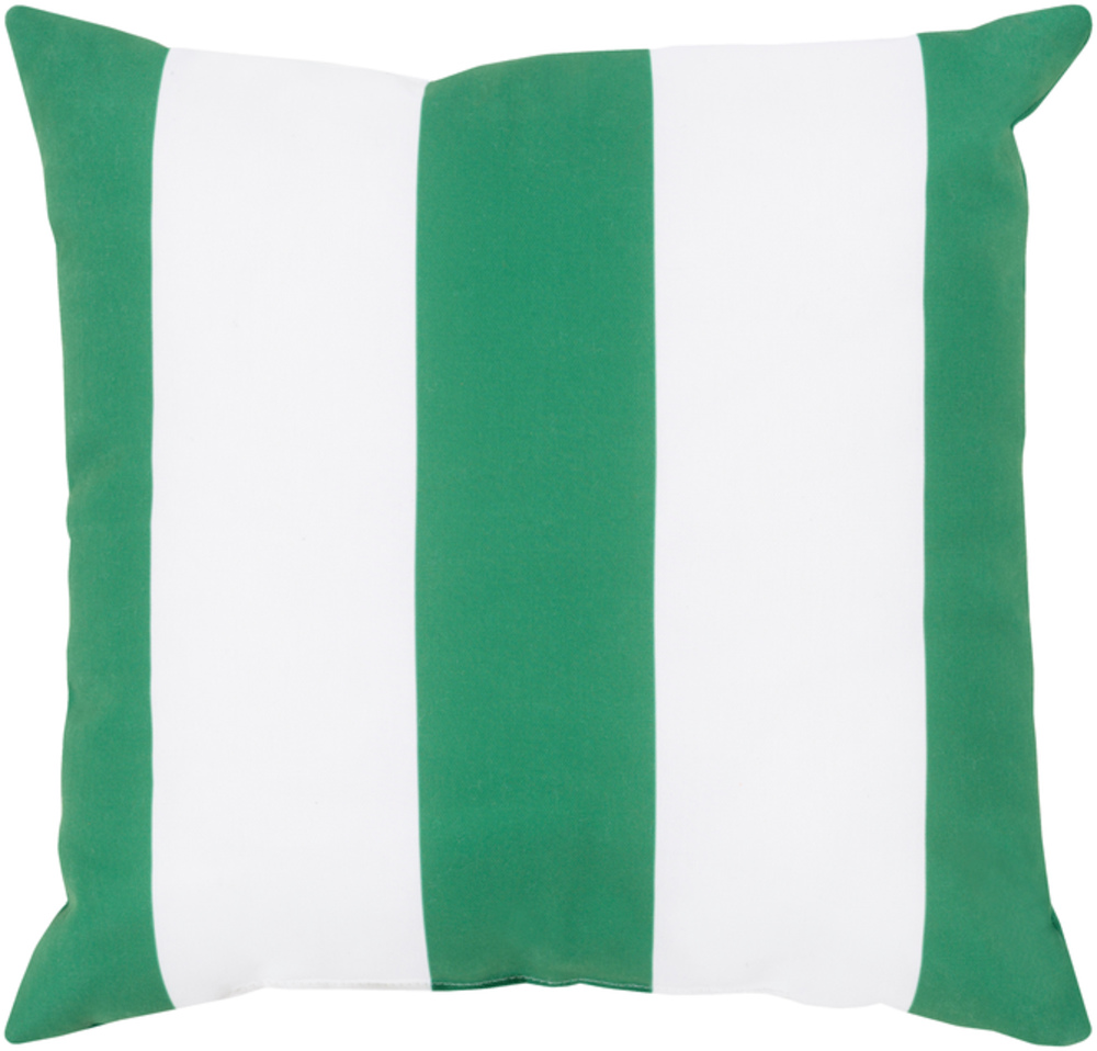 RG156-1818 Rain 18 x 18 x 4 in. Throw Pillow, Green - Medium