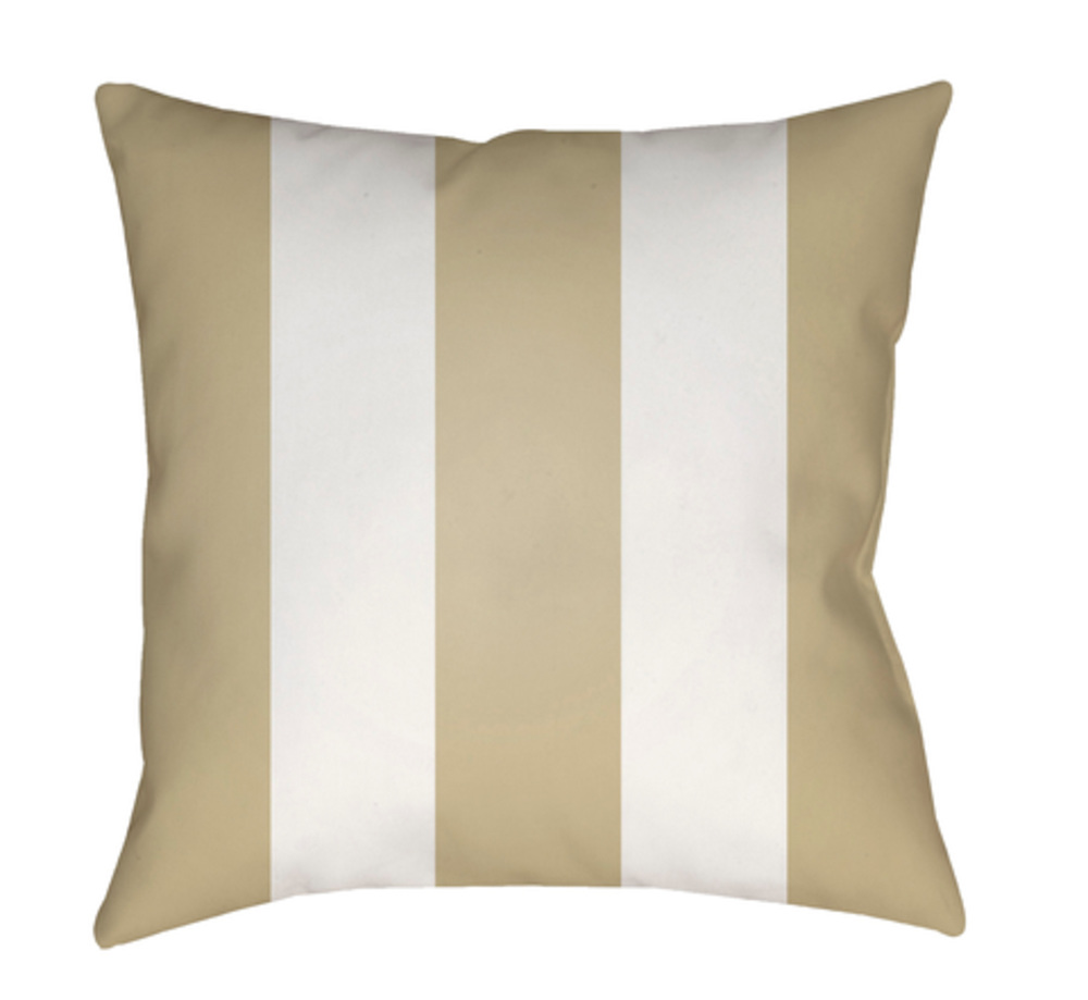 SOL061-2020 Vineyard 20 x 20 x 4 in. Throw Pillow, Tan - Medium