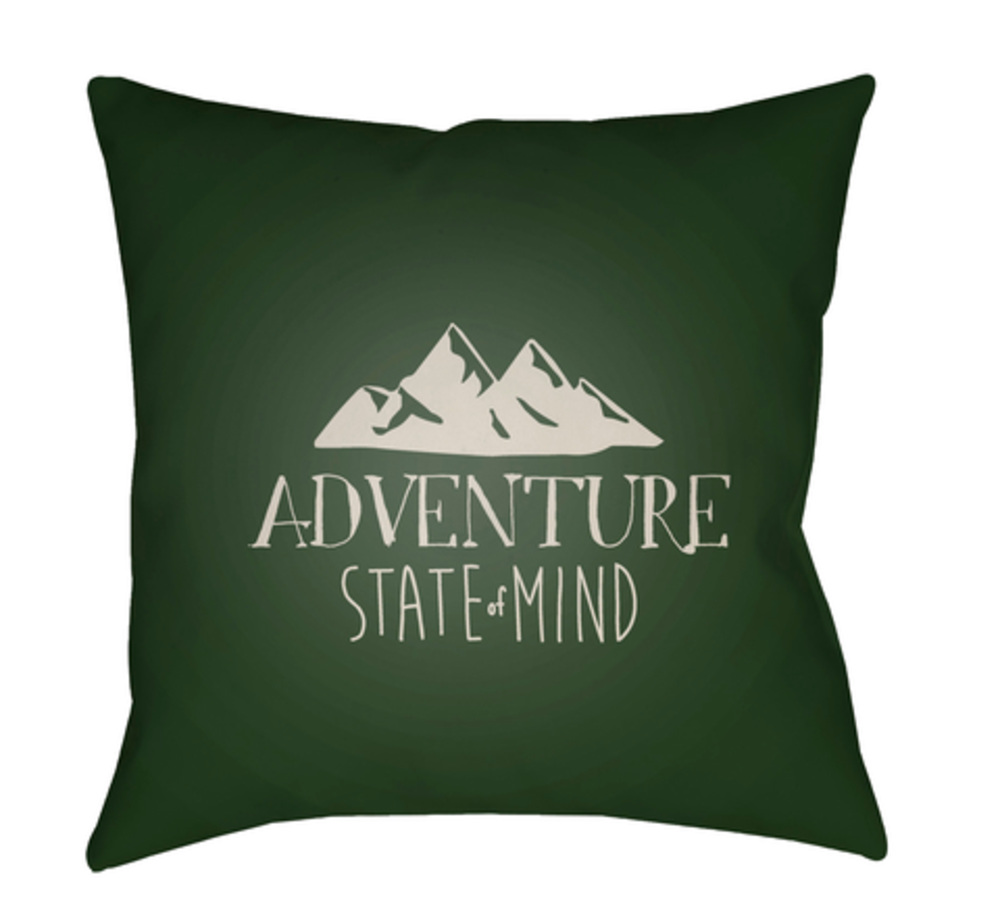 ADV006-1818 Adventure III 18 x 18 x 4 in. Throw Pillow, Green - Medium