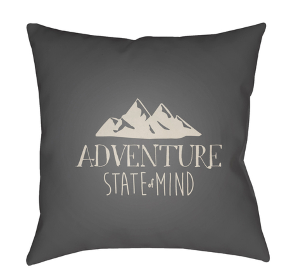 ADV007-1818 Adventure III 18 x 18 x 4 in. Throw Pillow, Grey - Medium
